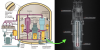 NuScale-Nuclear-Reactor-3.png
