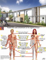 logement-social_impact-radioactivite.jpg