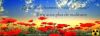 2013-06-16_CAN84_Vivront-d'amour