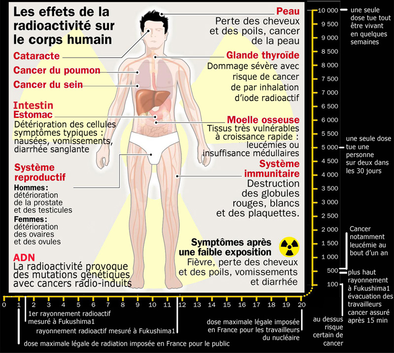 effets radioactivite sur corps humain 800