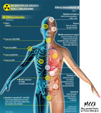 impacts sanitaires dechets nucleaires 72dpi H5