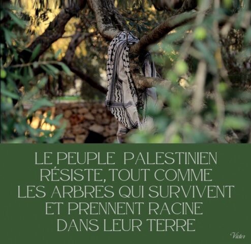 cute sheep drawing character