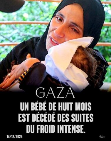 Des bébés meurent de froid