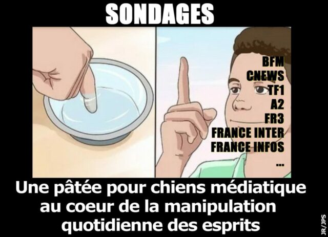 2026-05-03_Sondages