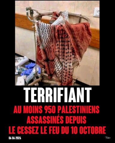 2026-06-07_Palestine_Terrifiant