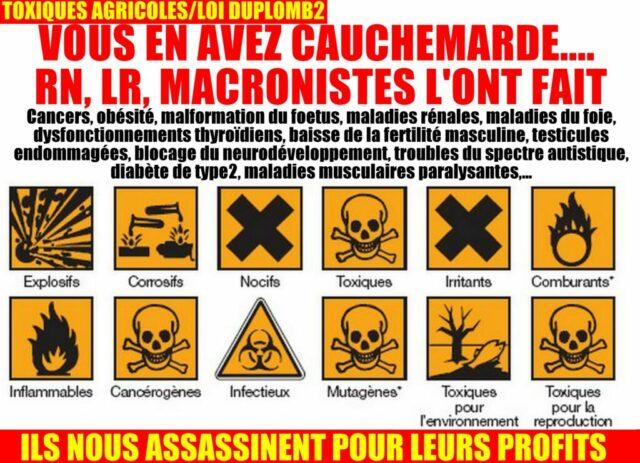 2026-07-25_Duplomb2-RN-LR-Macronistes