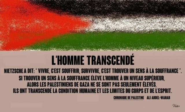2026-07-28_Gaza_l-homme-transcende