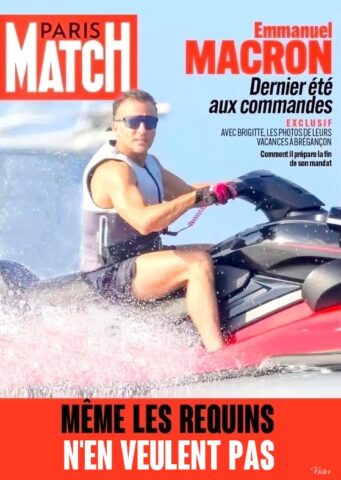 2026-08-25_Les-requins