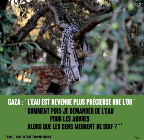 2026-09-04_Gaza-Palestine_Cisjordanir_eau-or