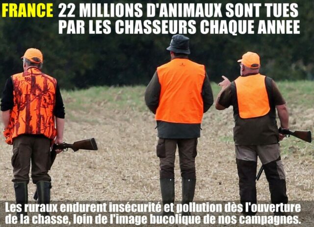 2026-09-08_22-millions-de-morts-chasseurs