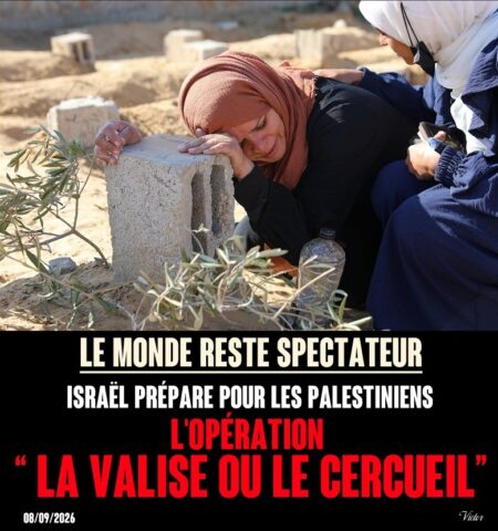 2026-09-10_La-valise