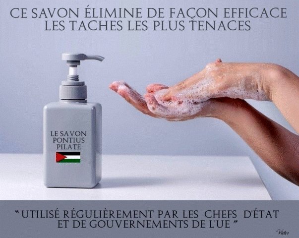2026-09-12_Palestine-Gaza_Savon