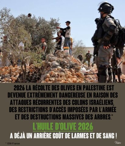 2026-10-01_Palestine_huile-d-olives