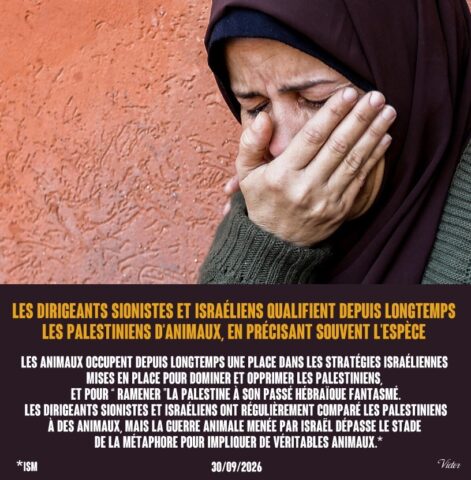 2026-10-05_a guerre avec des animaux