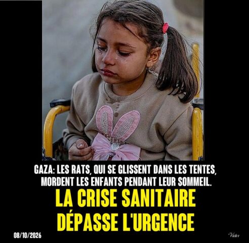2026-10-10_Gaza_urgence