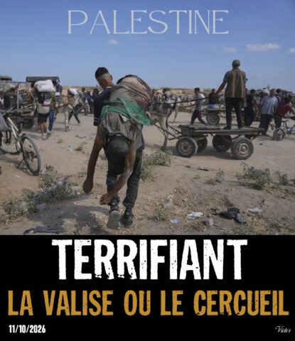 2026-10-14_Gaza-Palestine_la-valise-cercueil